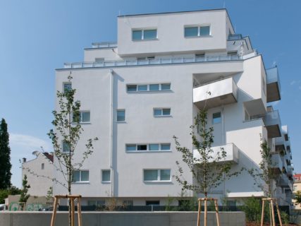 Referenz: Konstanziagasse 2-8 1220 Wien